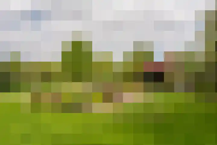 Bovenburen 22 Winschoten thumbnail 57