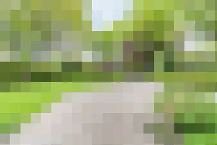 Bovenburen 22 Winschoten thumbnail 9