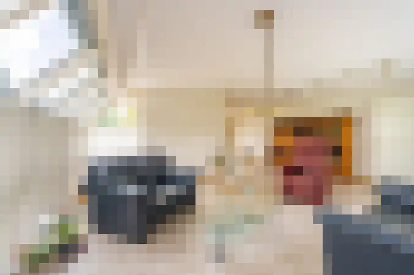 Bovenburen 26 Winschoten thumbnail 17