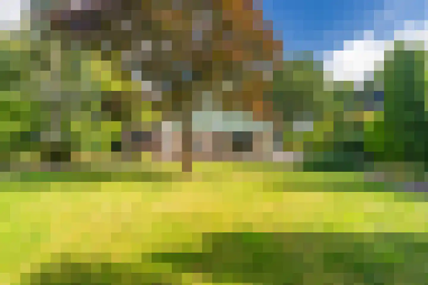 Bovenburen 26 Winschoten thumbnail 57