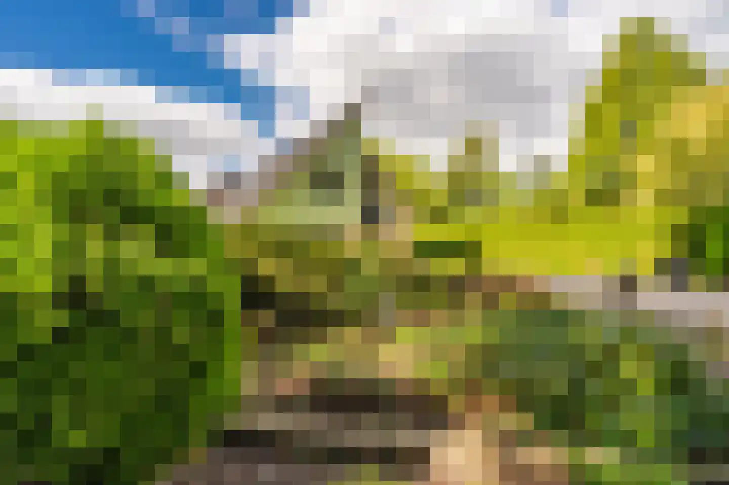 Bovenburen 26 Winschoten thumbnail 6