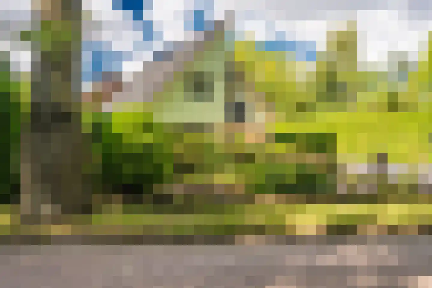 Bovenburen 26 Winschoten thumbnail 7