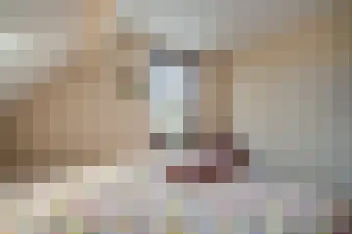 Bovenburen 7 Winschoten thumbnail 30