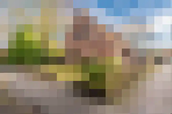 Bovenburen 7 Winschoten thumbnail 4