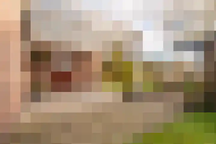 Bovenburen 7 Winschoten thumbnail 42