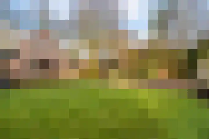Bovenburen 7 Winschoten thumbnail 46