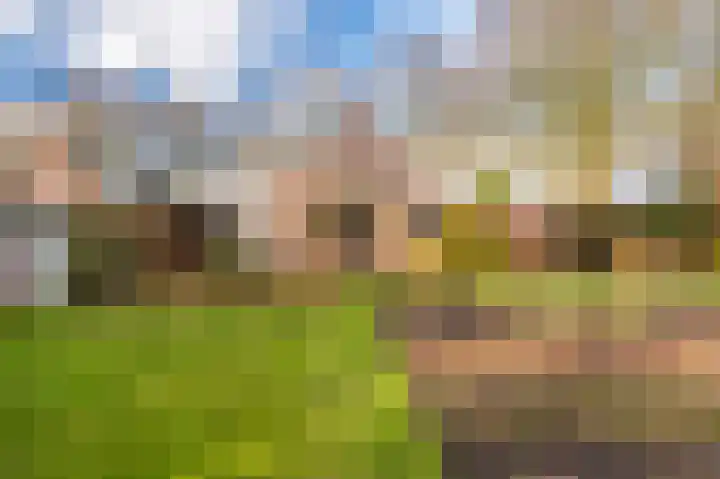 Bovenburen 7 Winschoten thumbnail 47