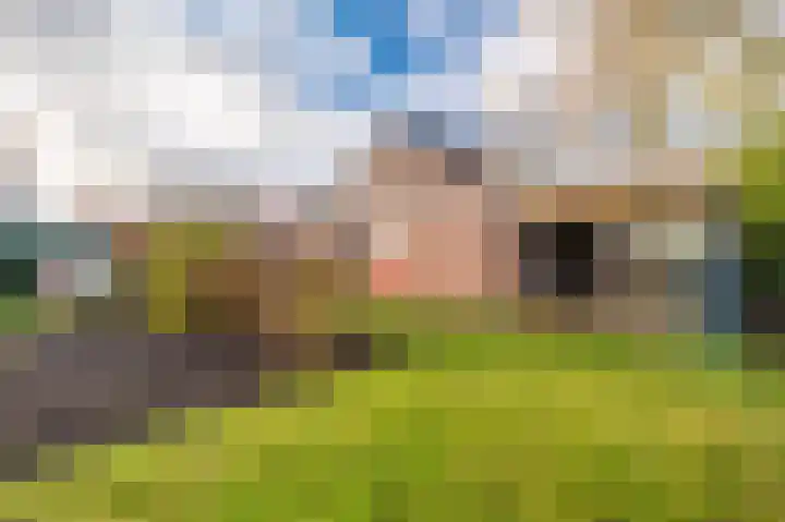 Bovenburen 7 Winschoten thumbnail 48