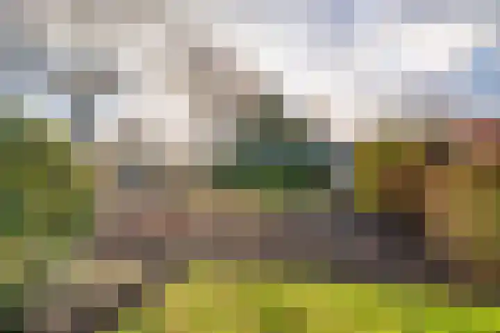 Bovenburen 7 Winschoten thumbnail 49