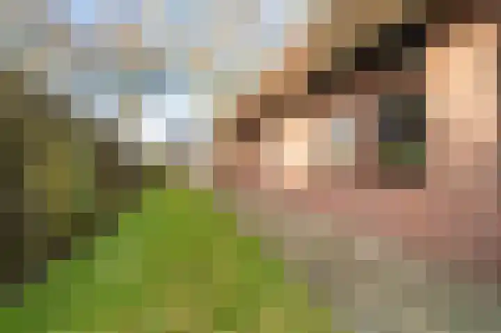 Bovenburen 7 Winschoten thumbnail 50