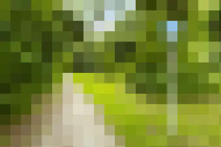 Bovenburen 87 Winschoten thumbnail 35