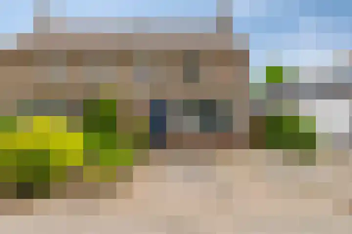 Bovenburen 87 Winschoten thumbnail 5