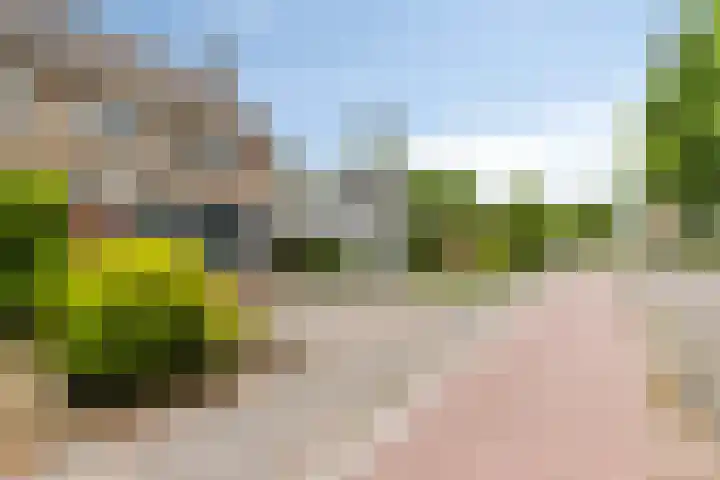 Bovenburen 87 Winschoten thumbnail 6