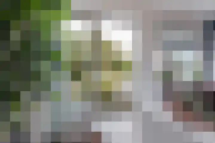 Bovenbuurtweg 114 Ede thumbnail 11