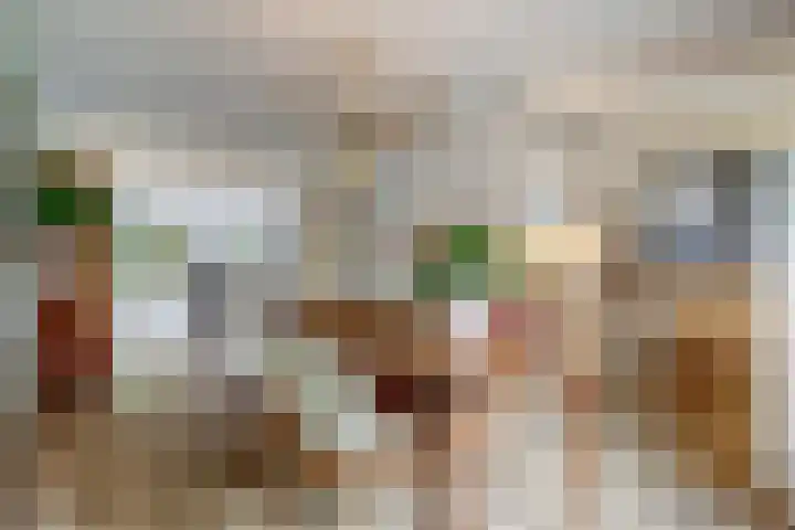 Bovenbuurtweg 114 Ede thumbnail 17