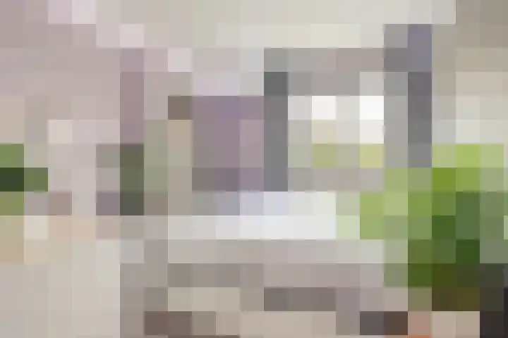 Bovenbuurtweg 114 Ede thumbnail 21