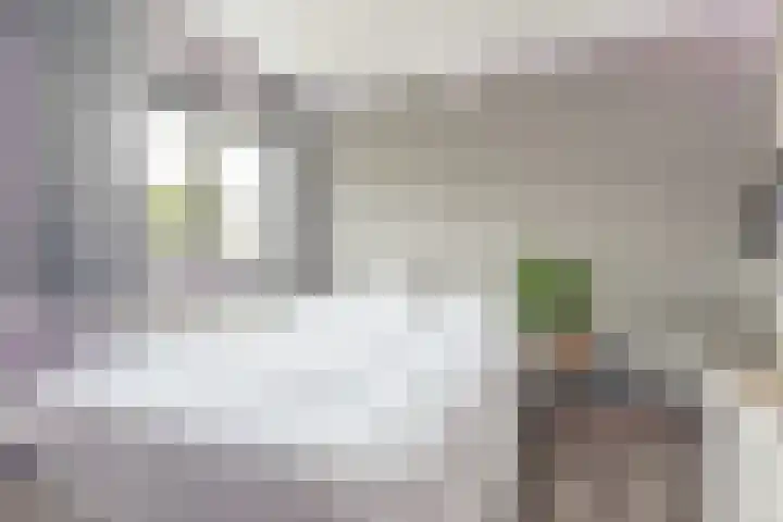 Bovenbuurtweg 114 Ede thumbnail 22