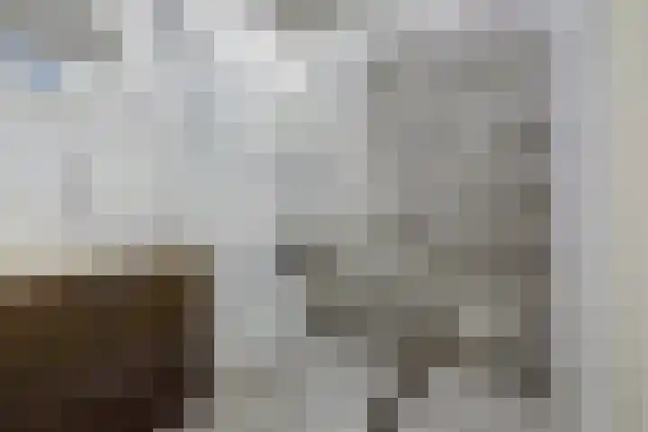 Bovenbuurtweg 114 Ede thumbnail 26
