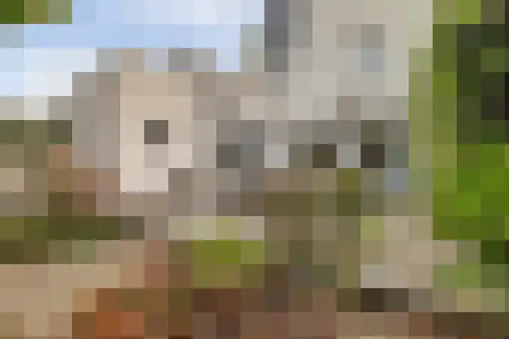 Bovenbuurtweg 114 Ede thumbnail 36