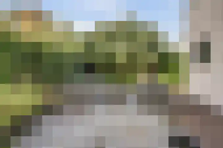 Bovenbuurtweg 114 Ede thumbnail 37