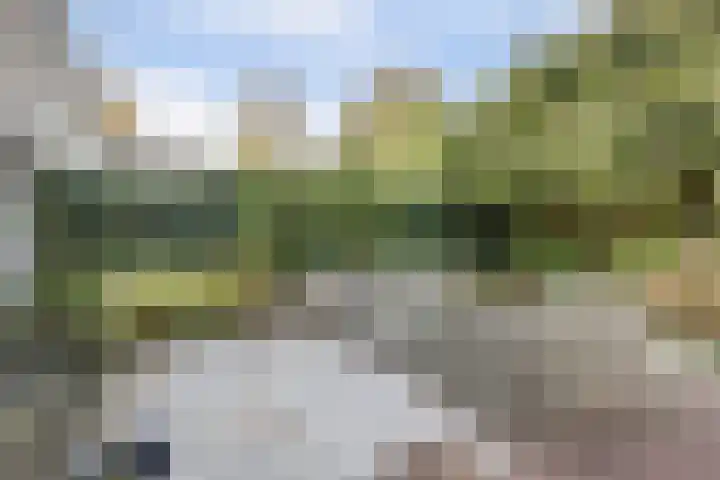 Bovenbuurtweg 114 Ede thumbnail 38