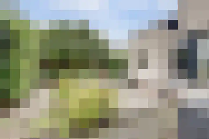 Bovenbuurtweg 114 Ede thumbnail 39