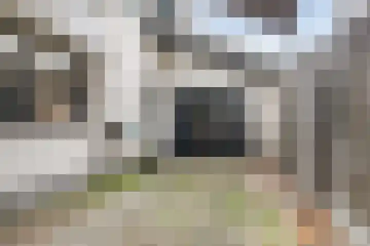 Bovenbuurtweg 114 Ede thumbnail 40