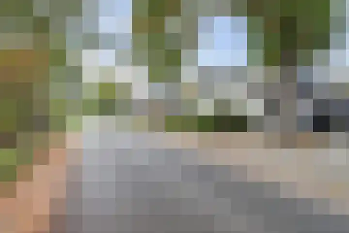 Bovenbuurtweg 114 Ede thumbnail 41