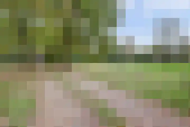 Bovenbuurtweg 114 Ede thumbnail 42