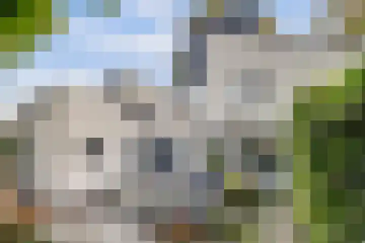 Bovenbuurtweg 114 Ede thumbnail 6