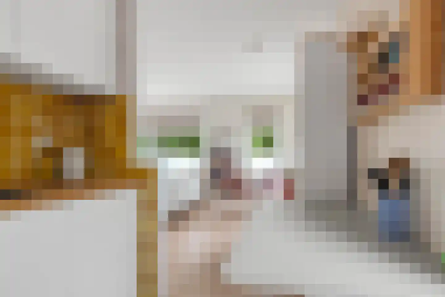 Bovenbuurtweg 15 I Ede thumbnail 20