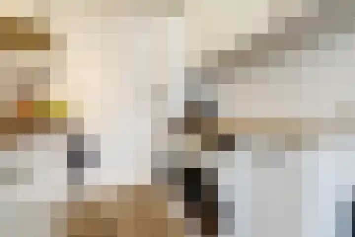 Bovenbuurtweg 17 C Ede thumbnail 12