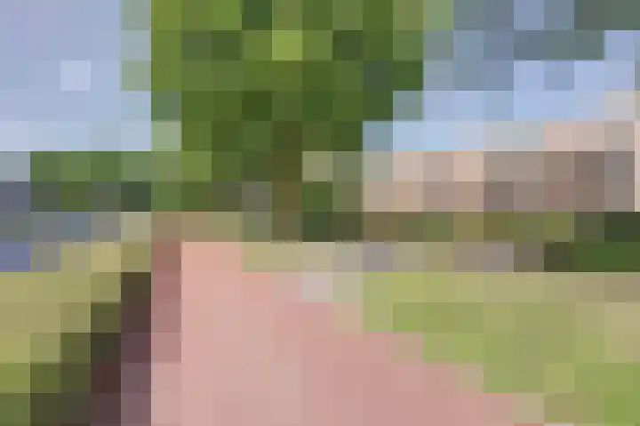 Bovenbuurtweg 17 C Ede thumbnail 19