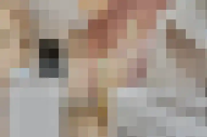 Bovenbuurtweg 70 Ede thumbnail 18