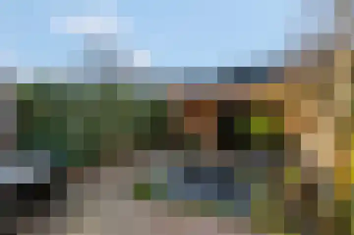 Bovenbuurtweg 70 Ede thumbnail 26