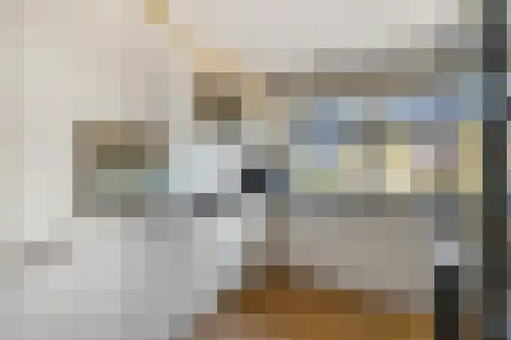 Bovenbuurtweg 70 Ede thumbnail 9
