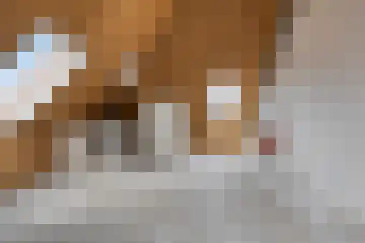 Bovendeks 15 Enkhuizen thumbnail 29