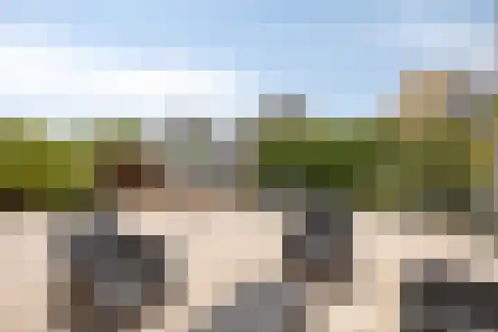Bovendeks 15 Enkhuizen thumbnail 34