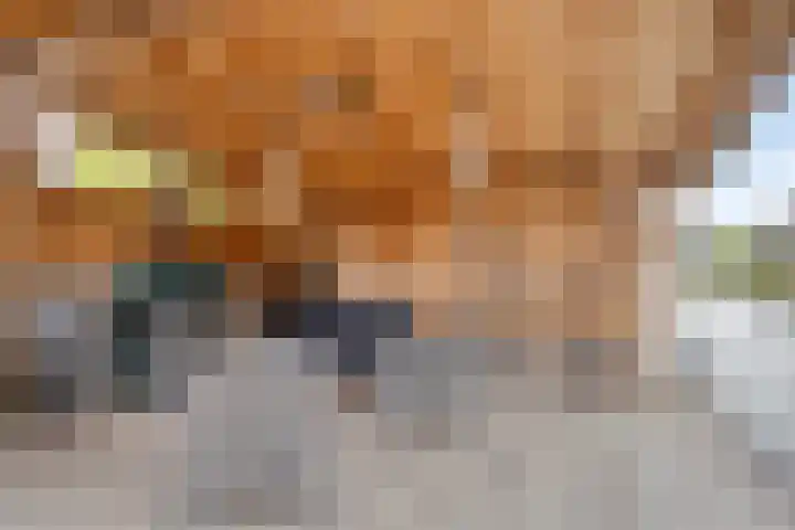 Bovendeks 15 Enkhuizen thumbnail 37