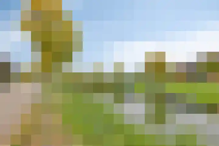 Bovendeks 15 Enkhuizen thumbnail 42
