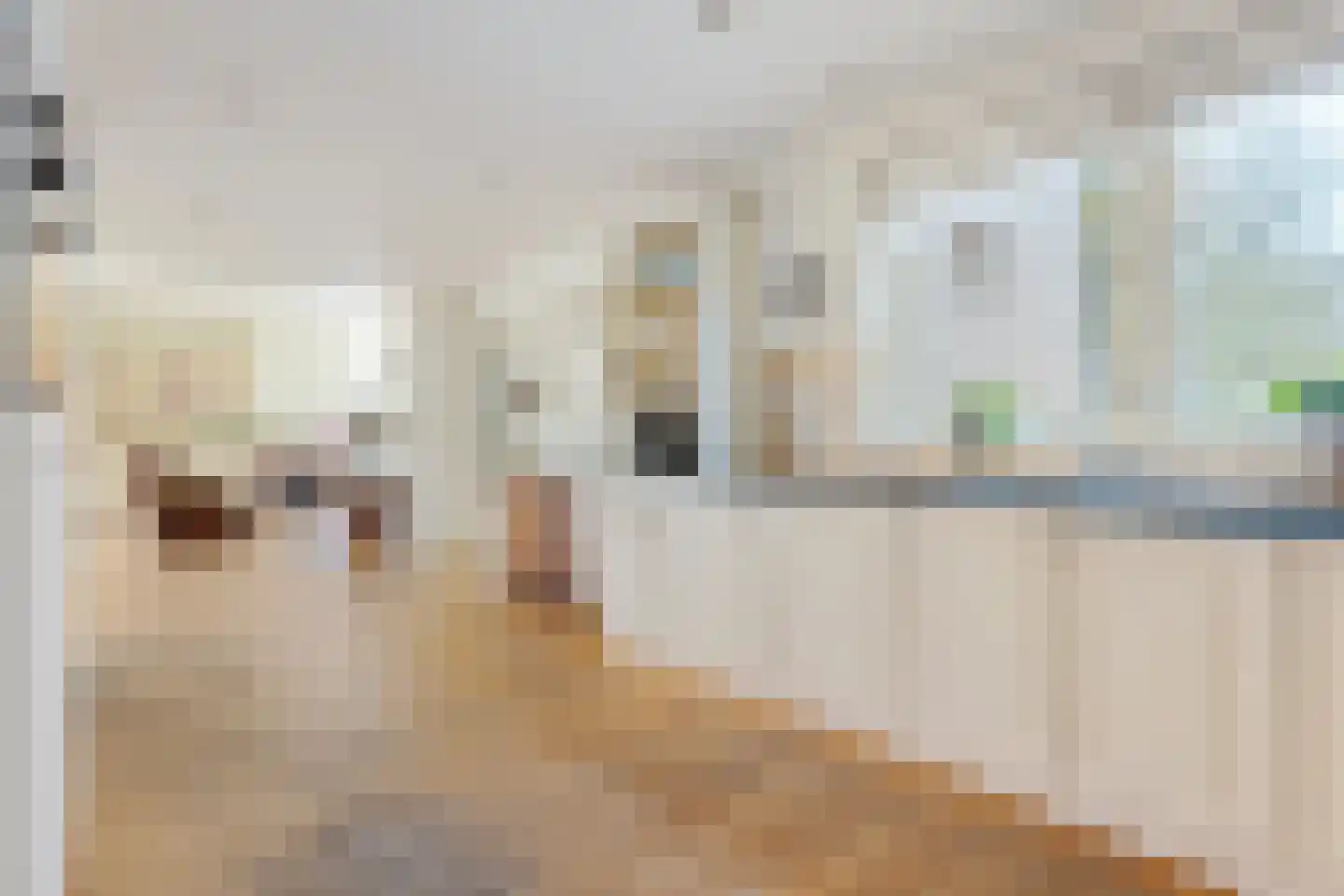 Bovendiepen 15 Zuidlaren thumbnail 13