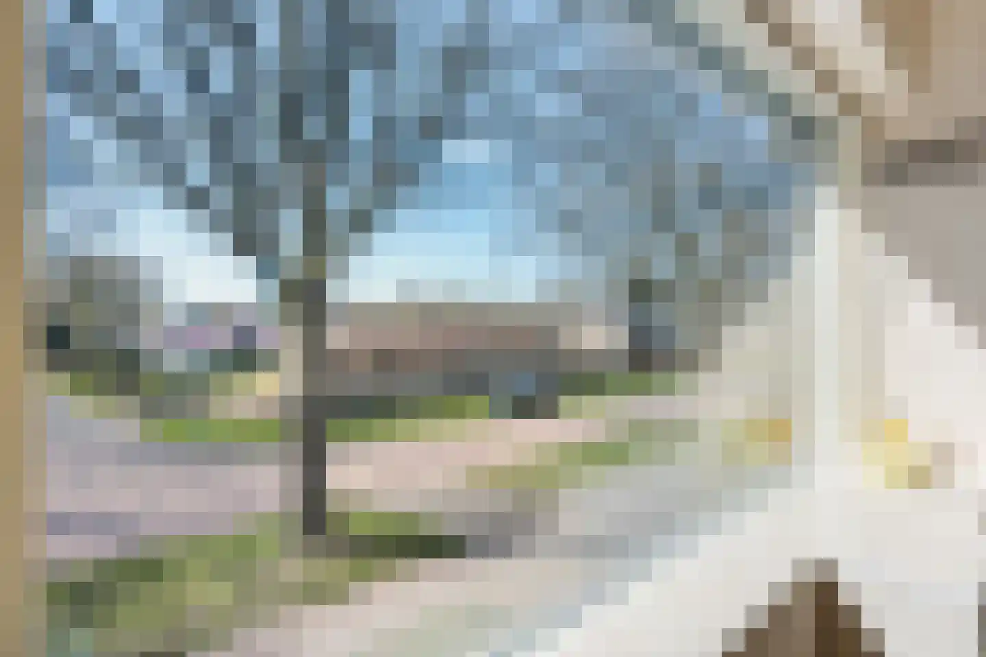 Bovendiepen 15 Zuidlaren thumbnail 34