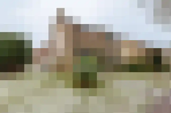 Bovendiepen 17 Zuidlaren