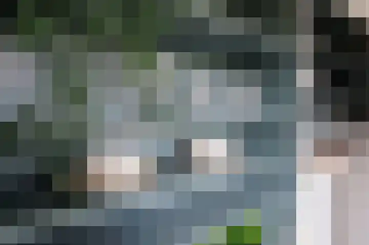 Bovendiepen 17 Zuidlaren thumbnail 18