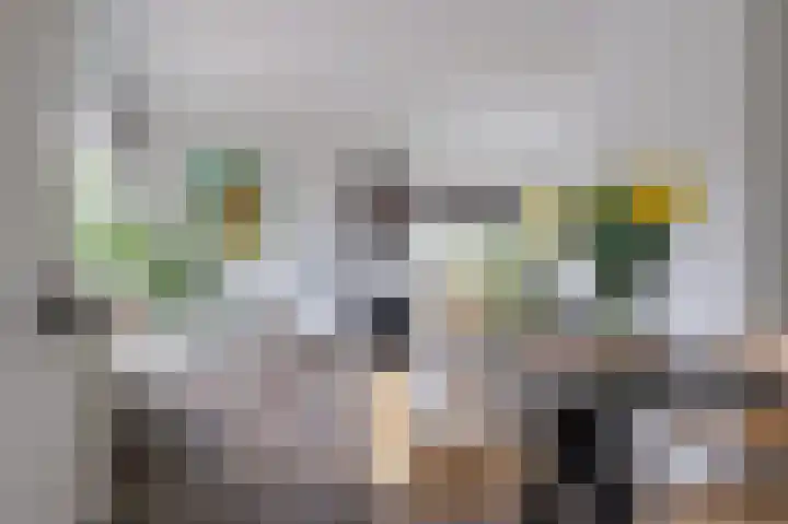 Bovendiepen 17 Zuidlaren thumbnail 19