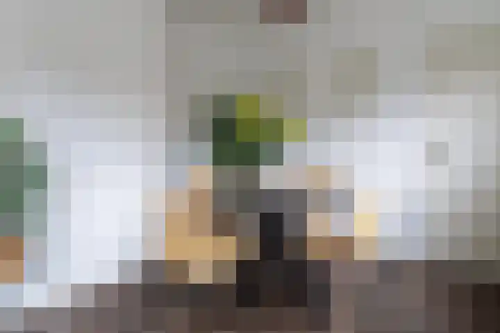 Bovendiepen 17 Zuidlaren thumbnail 20