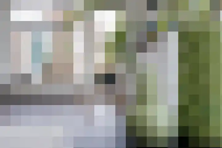 Bovendiepen 17 Zuidlaren thumbnail 27