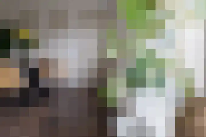 Bovendiepen 17 Zuidlaren thumbnail 28