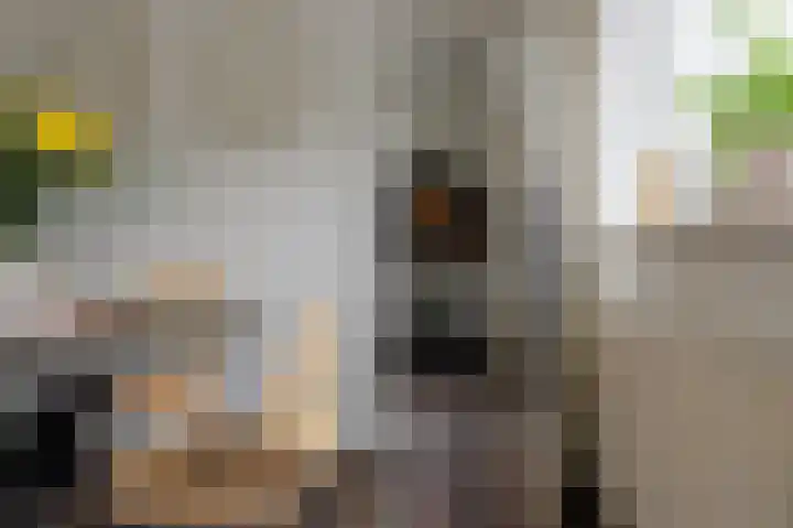 Bovendiepen 17 Zuidlaren thumbnail 29