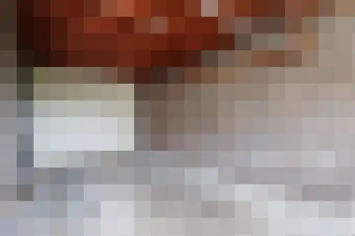 Bovendiepen 17 Zuidlaren thumbnail 34